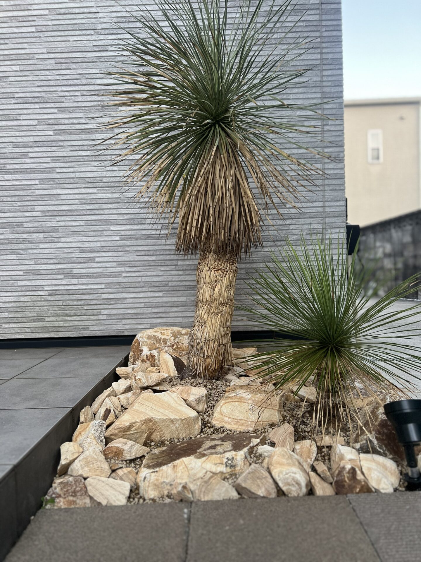 イメージ画像
